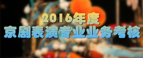 欠操的b国家京剧院2016年度京剧表演专业业务考...